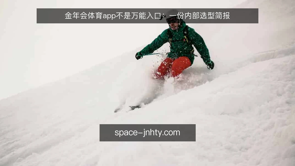金年会体育app不是万能入口:一份内部选型简报