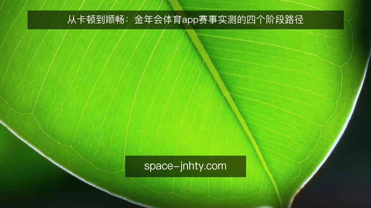 从卡顿到顺畅:金年会体育app赛事实测的四个阶段路径